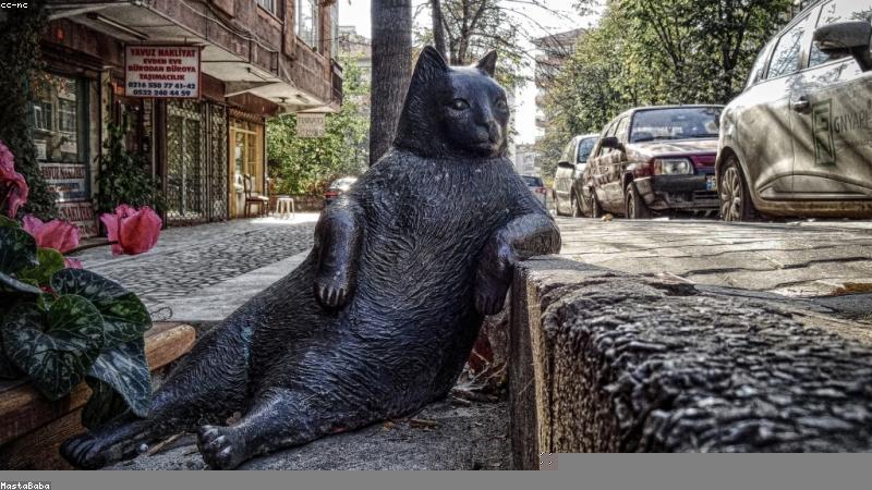 抗衰老全攻略：从原理到实操，科学守护年轻肌