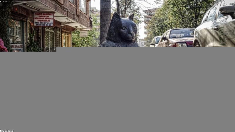 科学护肤技巧全解析:从清洁到防晒的精准指南