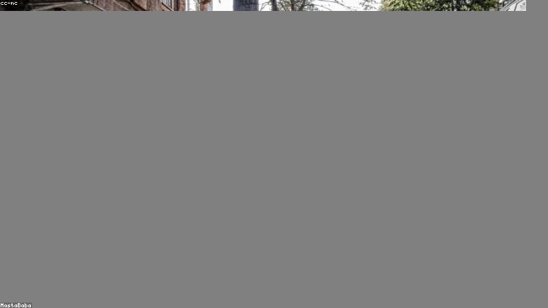 护肤成分大揭秘：科学分类与使用指南