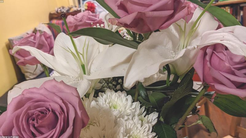 产品评测全攻略：科学避坑，选对不选贵