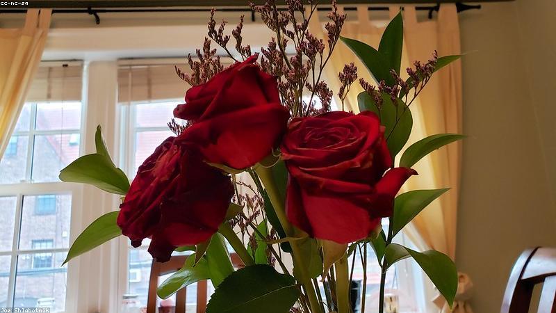 科学护肤指南：从清洁到防晒的5大黄金技巧