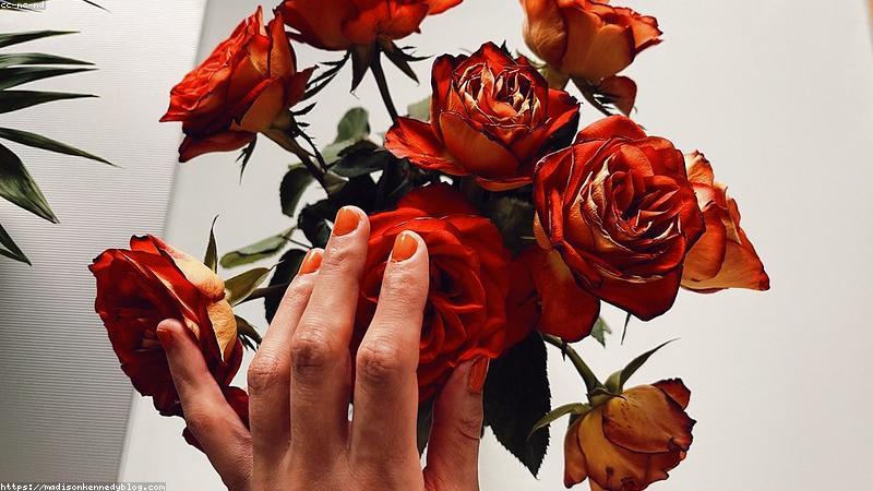 抗衰老全攻略：从科学原理到日常护理的完整指南